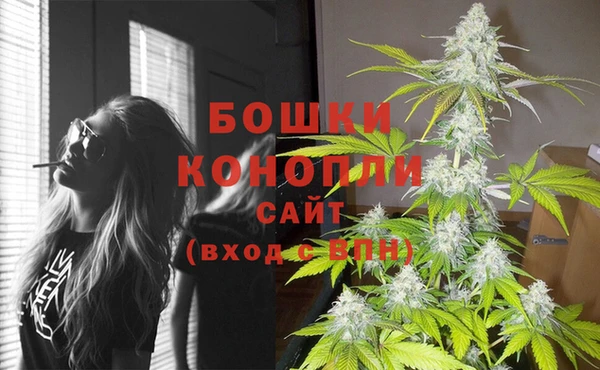 соль ск Надым