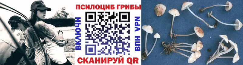 Псилоцибиновые грибы Cubensis  Мирный 