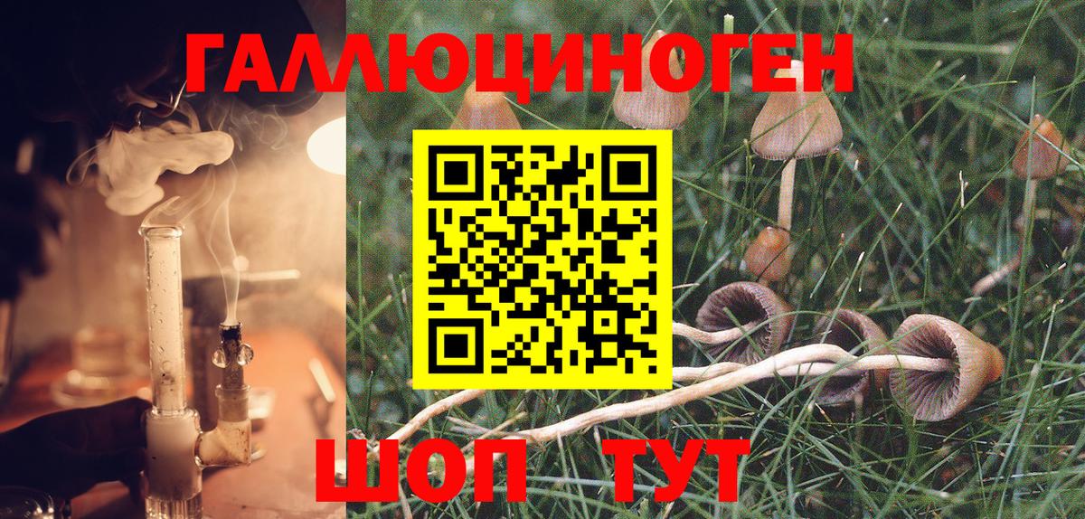даркнет сайт  Мирный  Галлюциногенные грибы ЛСД 