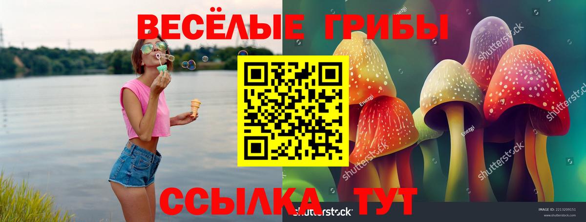 Галлюциногенные грибы мицелий Мирный